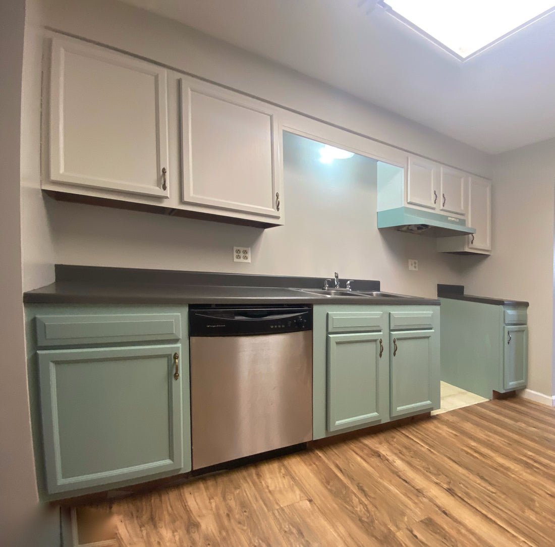 Finished cabinets using Wise Owl One Hour Enamel