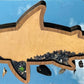 Shark Teeth Bank Tooth Display - Multiple Styles and Sizes Available!