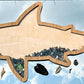 Shark Teeth Bank Tooth Display - Multiple Styles and Sizes Available!