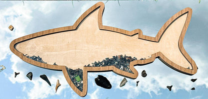 Shark Teeth Bank Tooth Display - Multiple Styles and Sizes Available! - The Salty Lick Mercantile