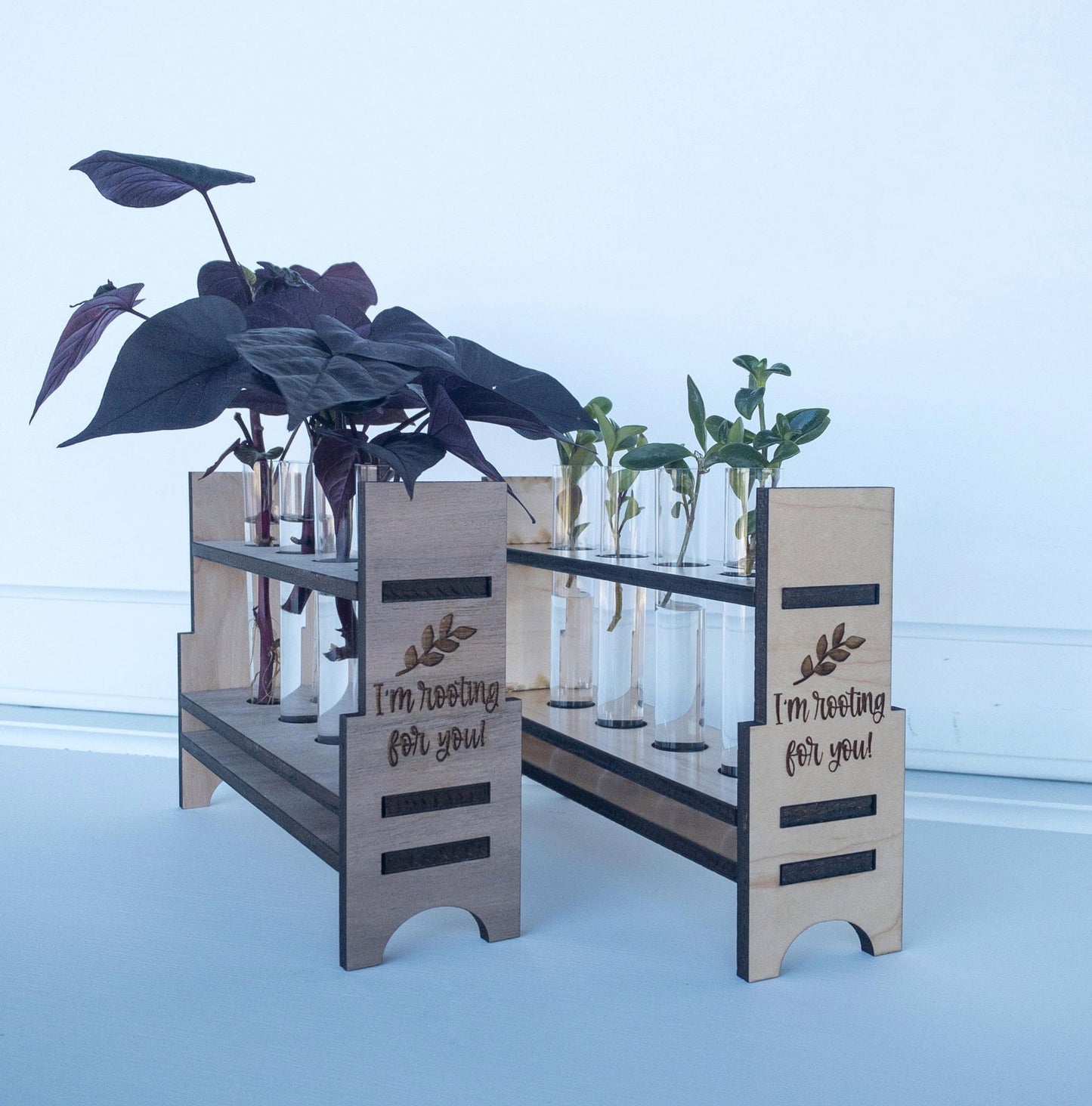 Plant Propagation Station - The Salty Lick Mercantile
