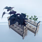 Plant Propagation Station - The Salty Lick Mercantile