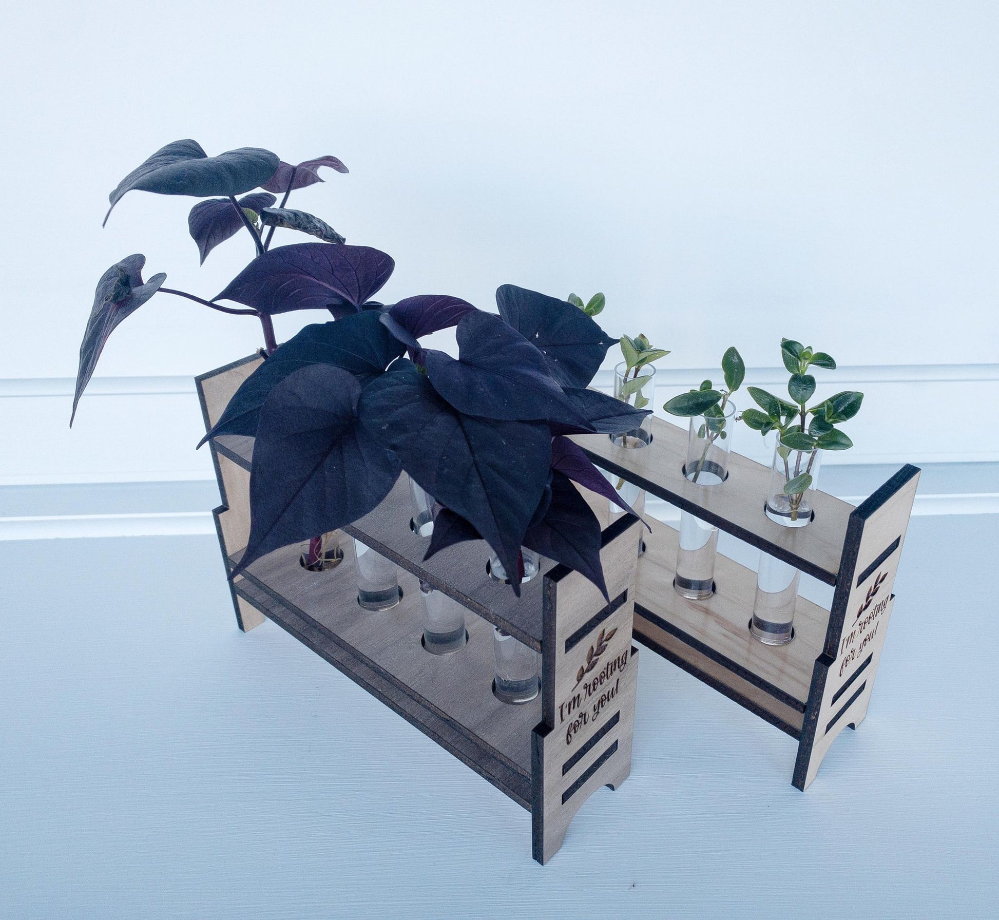 Plant Propagation Station - The Salty Lick Mercantile