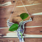Hummingbird Suncatcher Plant Propagation Station