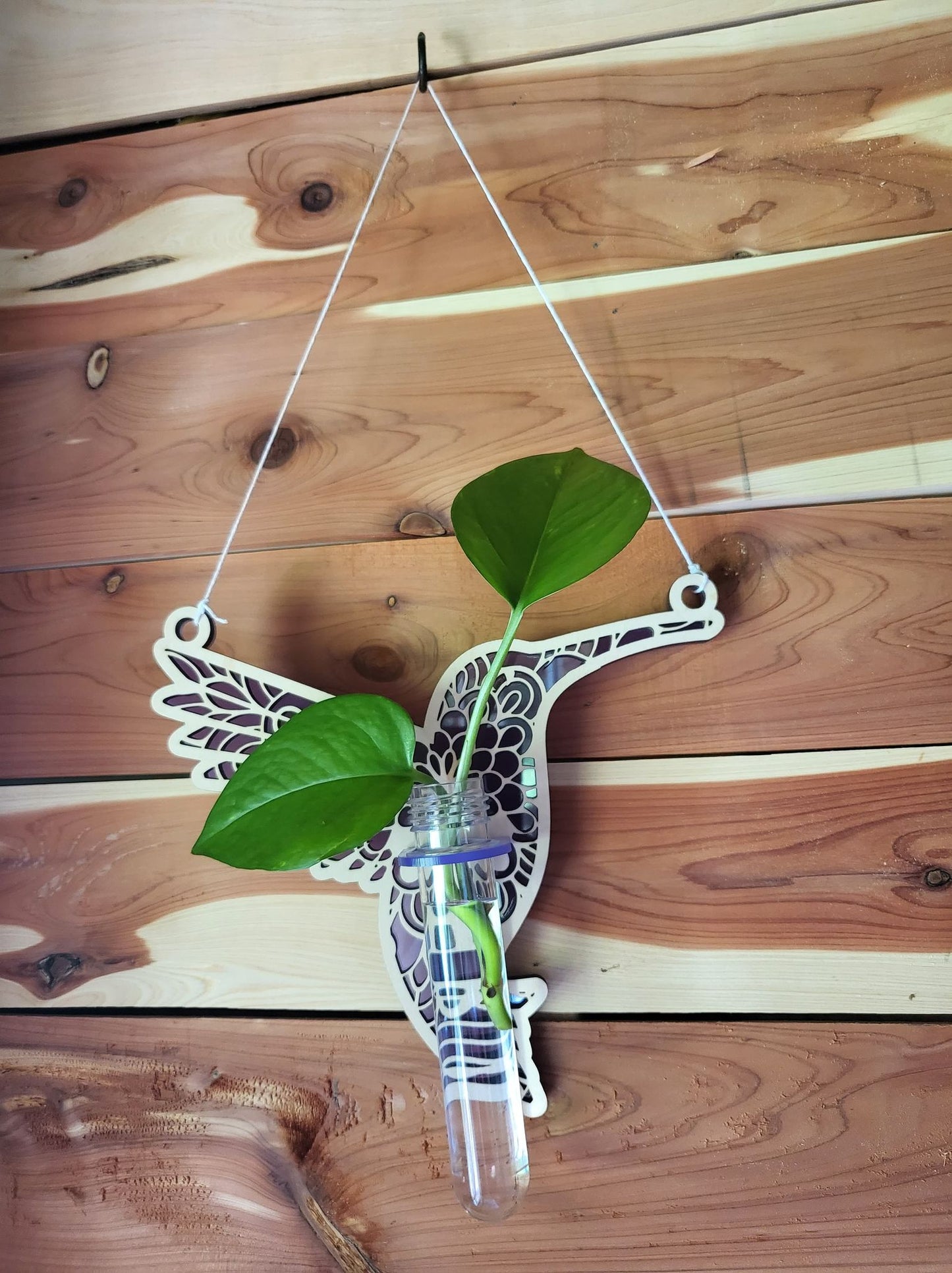 Hummingbird Suncatcher Plant Propagation Station