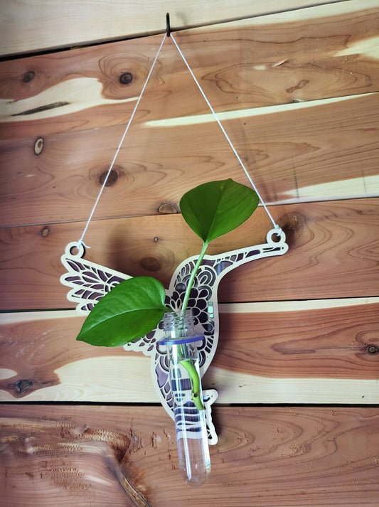 Hummingbird Suncatcher Plant Propagation Station - The Salty Lick Mercantile