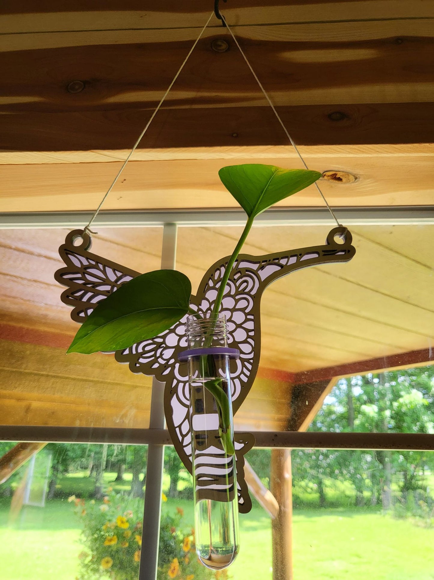 Hummingbird Suncatcher Plant Propagation Station